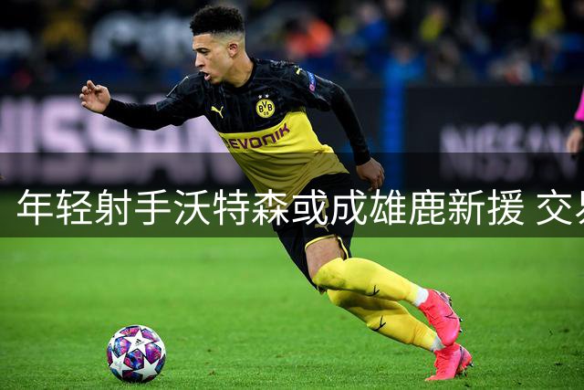 年轻射手沃特森或成雄鹿新援 交易特例成签约关键筹码